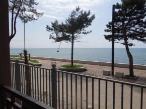 Kobuleti-Seashore-Sanapiro #66
